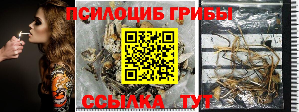 Галлюциногенные грибы мицелий  Галлюциногенные грибы Cubensis  Вход с VPN  Щёкино 